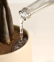 Load image into Gallery viewer, Sandy stand:all