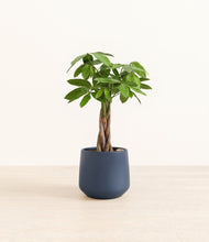 Load image into Gallery viewer, Deep Navy*****Profile