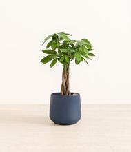 Load image into Gallery viewer, Deep Navy*****Profile