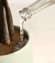 Load image into Gallery viewer, Countryside stand:all