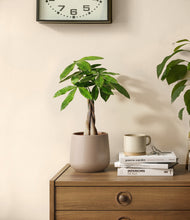 Load image into Gallery viewer, Eternal Gray