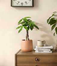 Load image into Gallery viewer, Gentle Pink