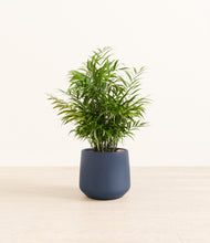 Load image into Gallery viewer, Deep Navy*****Profile