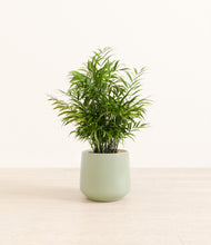 Load image into Gallery viewer, Turquoise*****Profile