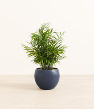 Load image into Gallery viewer, Deep Navy*****Profile