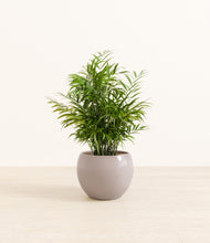 Load image into Gallery viewer, Winter Clouds*****Profile