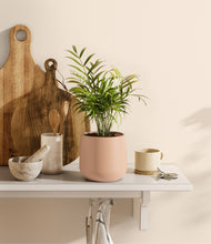 Load image into Gallery viewer, Gentle Pink