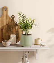 Load image into Gallery viewer, Turquoise