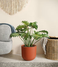 Load image into Gallery viewer, Earth Red