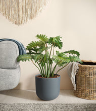 Load image into Gallery viewer, Iron Gray