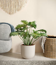 Load image into Gallery viewer, Natural Bamboo