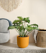 Load image into Gallery viewer, Sunset Orange