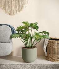 Load image into Gallery viewer, Sage Green