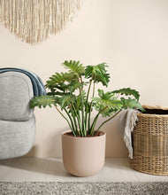 Load image into Gallery viewer, Sandy Pink