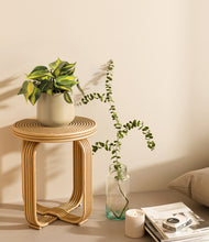 Load image into Gallery viewer, Almond Green