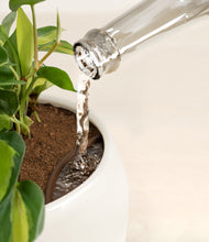 Load image into Gallery viewer, Woodland stand:all