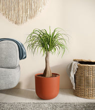 Load image into Gallery viewer, Earth Red