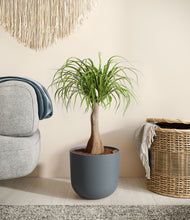 Load image into Gallery viewer, Iron Gray