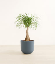 Load image into Gallery viewer, Iron Gray*****Profile