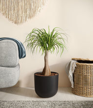 Load image into Gallery viewer, Stone Black