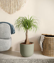 Load image into Gallery viewer, Sage Green