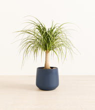 Load image into Gallery viewer, Deep Navy*****Profile