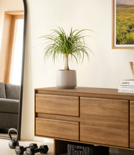 Load image into Gallery viewer, Eternal Gray