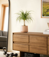 Load image into Gallery viewer, Gentle Pink