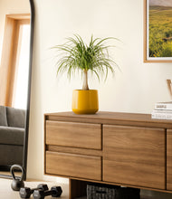 Load image into Gallery viewer, Mustard