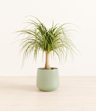 Load image into Gallery viewer, Turquoise*****Profile