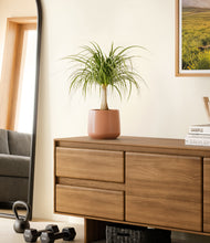 Load image into Gallery viewer, Calm Rose