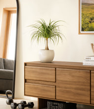 Load image into Gallery viewer, Shiny EggWhite