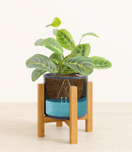 Load image into Gallery viewer, Deep Navy