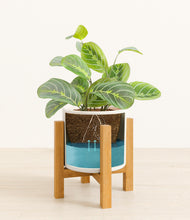 Load image into Gallery viewer, White