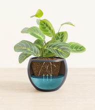 Load image into Gallery viewer, Deep Navy