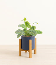 Load image into Gallery viewer, Deep Navy*****Profile