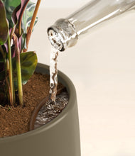 Load image into Gallery viewer, Woodland stand:all