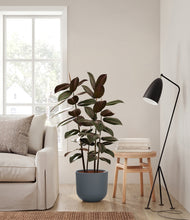 Load image into Gallery viewer, Iron Gray