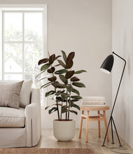 Load image into Gallery viewer, Natural Bamboo