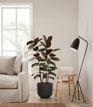 Load image into Gallery viewer, Stone Black