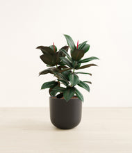 Load image into Gallery viewer, Stone Black*****Profile