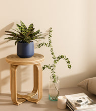 Load image into Gallery viewer, Deep Navy