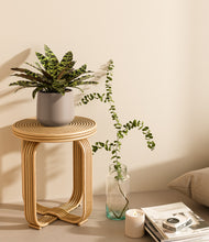 Load image into Gallery viewer, Eternal Gray