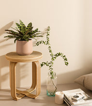 Load image into Gallery viewer, Gentle Pink