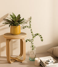 Load image into Gallery viewer, Mustard