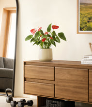 Load image into Gallery viewer, Almond Green