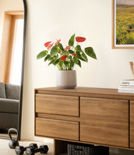 Load image into Gallery viewer, Eternal Gray