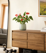 Load image into Gallery viewer, Turquoise