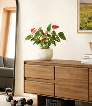 Load image into Gallery viewer, Shiny EggWhite