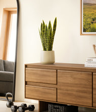 Load image into Gallery viewer, Almond Green